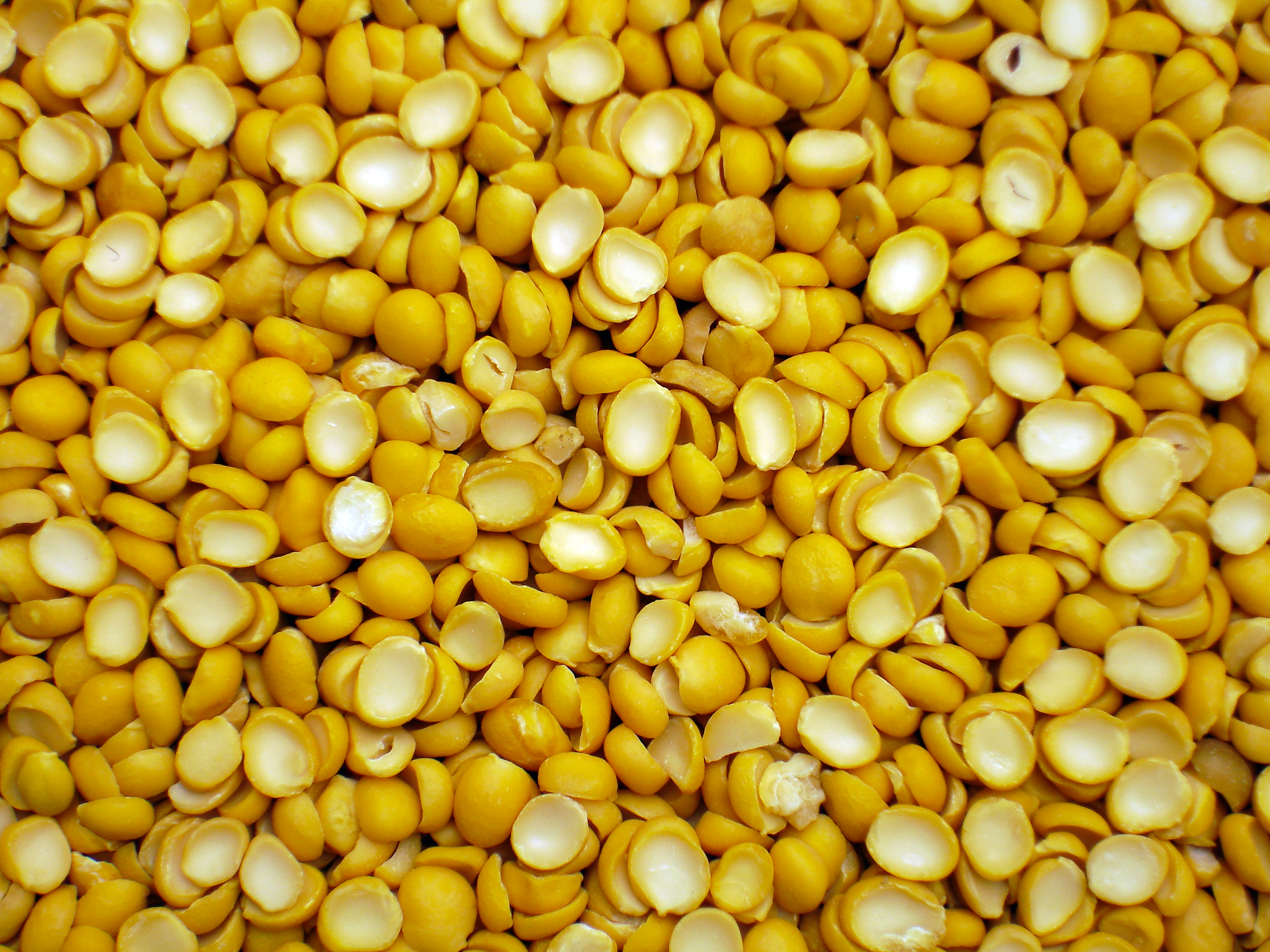 Iranian Split Peas Wholesaler in Iraq; Bulk Price, Import Regulations & How to Import Legally?
